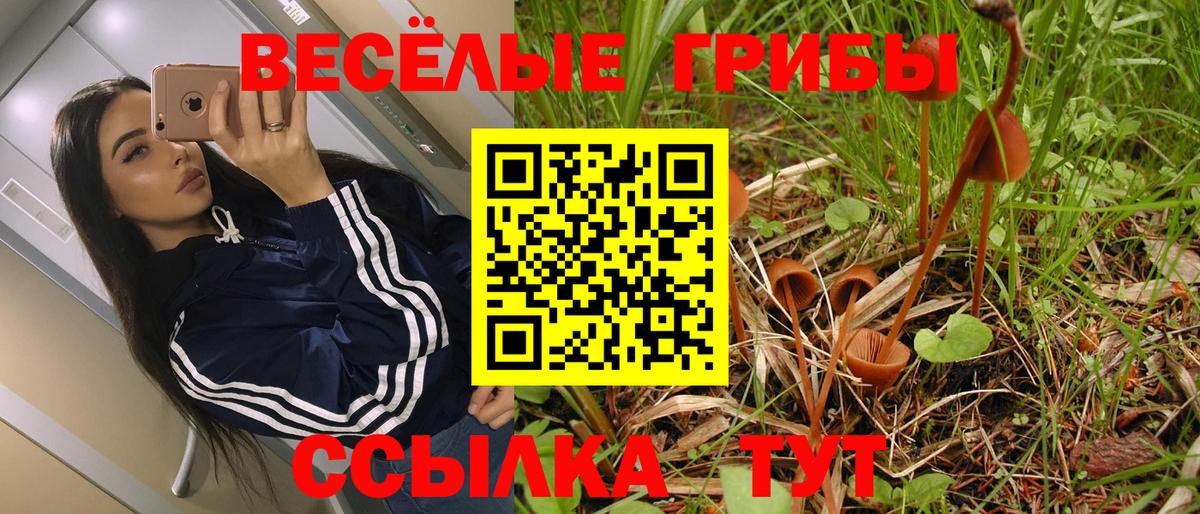 Заводоуковск  Галлюциногенные грибы Psilocybine cubensis  Вход с VPN 
